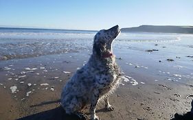 The Snug At Ruston, Cosy Dog Friendly Cottage